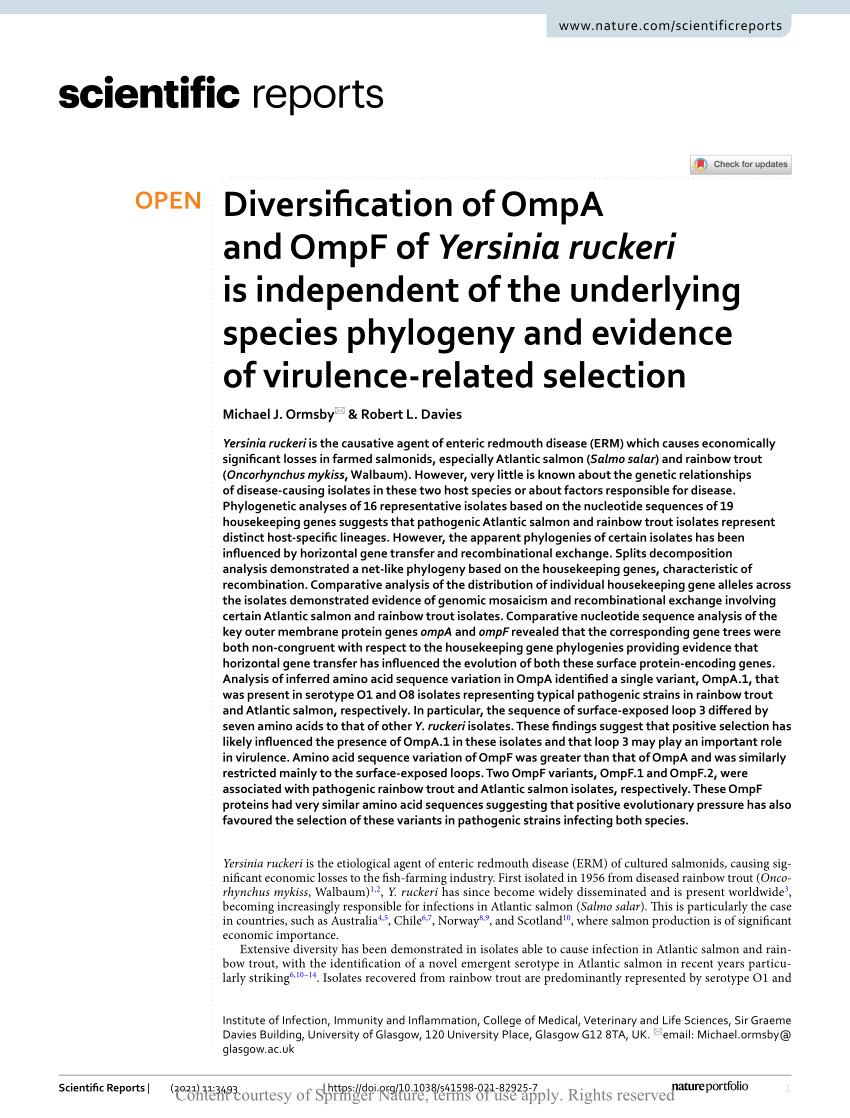 PDF Diversification of OmpA and OmpF of Yersinia ruckeri is