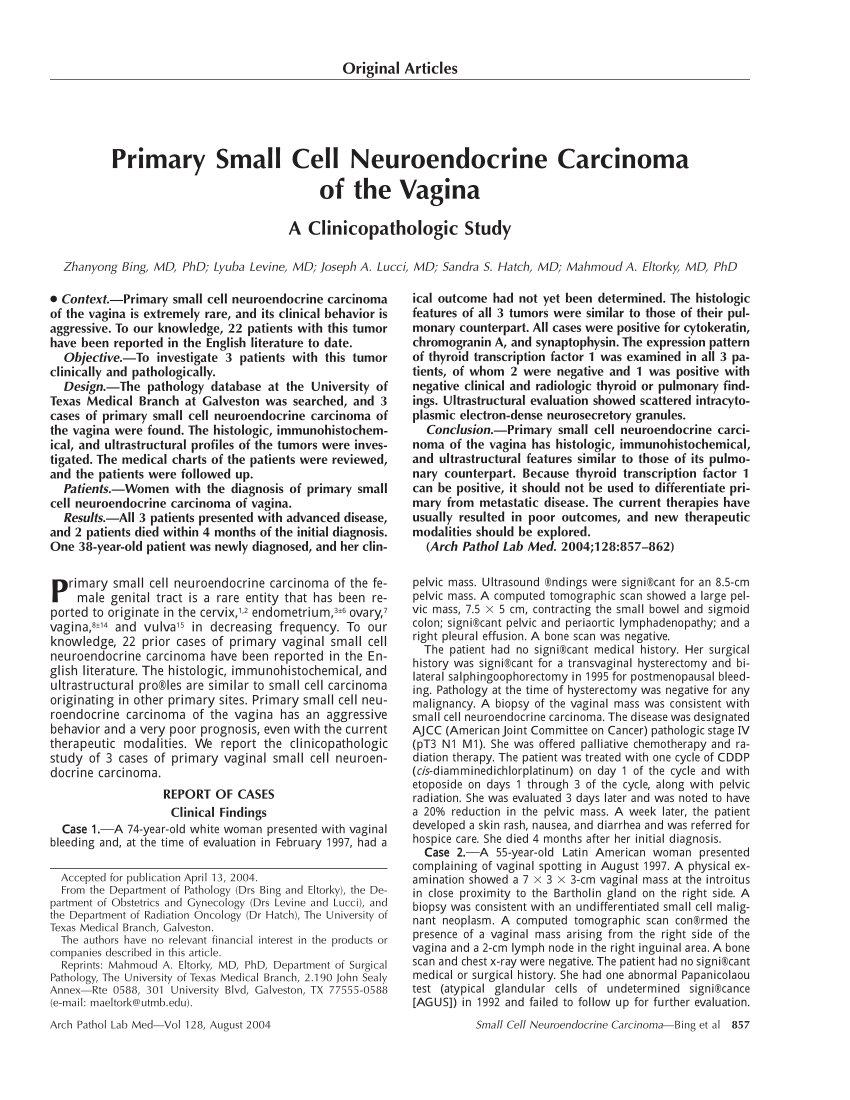 PDF) Primary Small Cell Neuroendocrine Carcinoma of the Vagina: A  Clinicopathologic Study