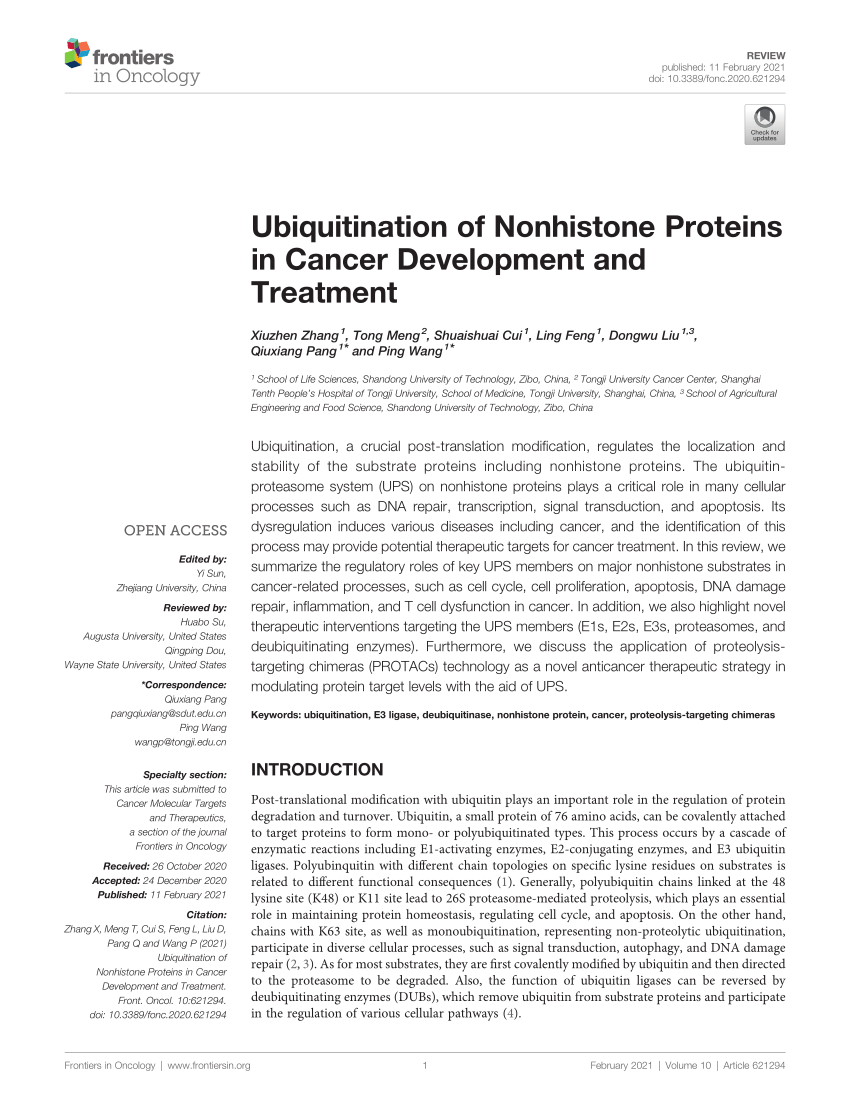 Frontiers  Ubiquitination of Nonhistone Proteins in Cancer