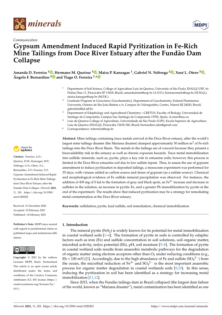 Pdf Gypsum Amendment Induced Rapid Pyritization In Fe Rich Mine Tailings From Doce River Estuary After The Fundao Dam Collapse