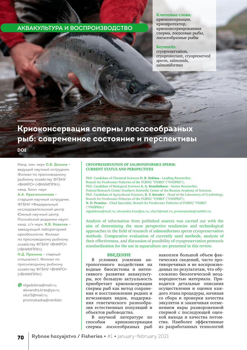 PDF) CRYOPRESERVATION OF SALMONIFORMES SPERM: CURRENT STATUS AND  PERSPECTIVES