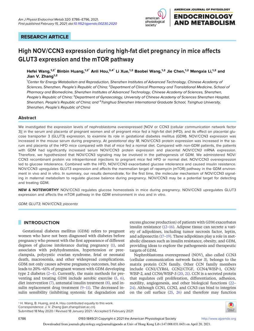 PDF) High NOV/CCN3 expression during high-fat diet pregnancy in 