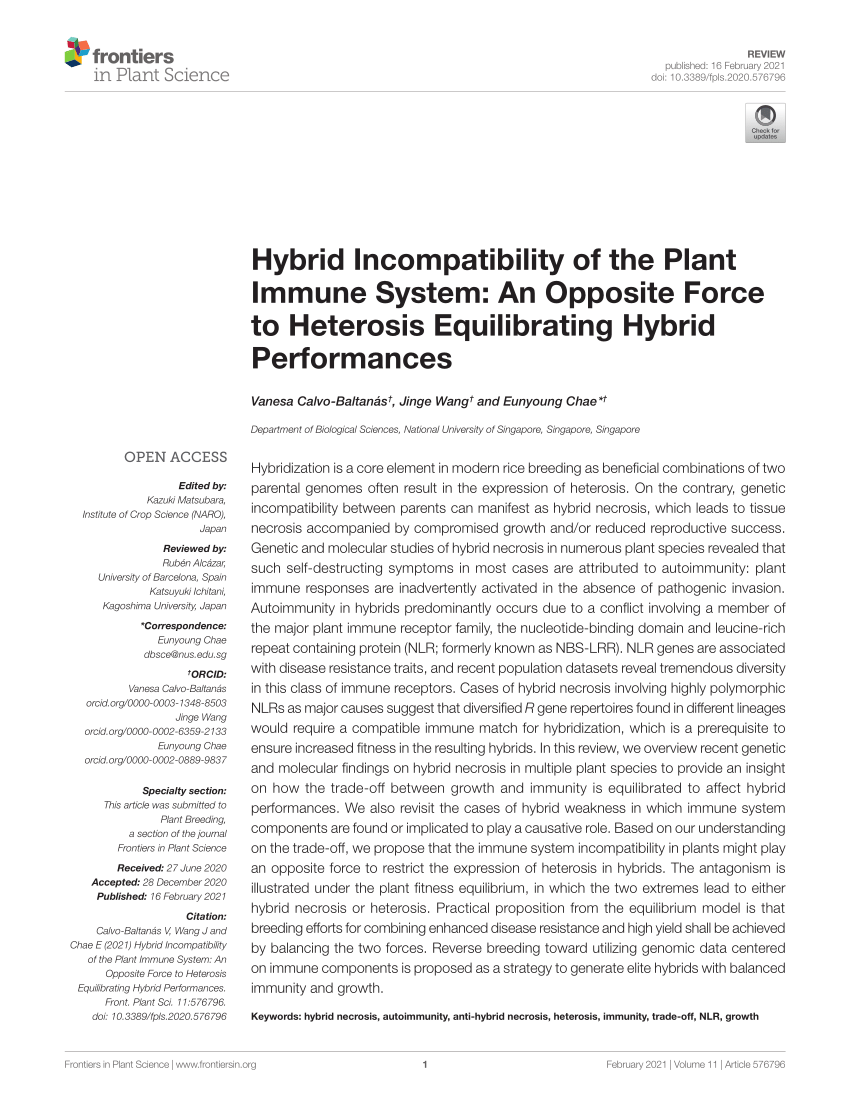PDF) Hybrid Incompatibility of the Plant Immune System: An 