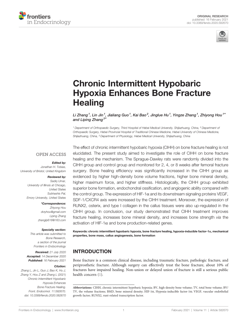 Frontiers  Impact of High-Altitude Hypoxia on Bone Defect Repair