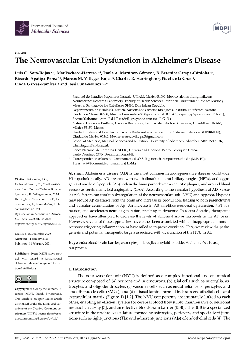 Pdf The Neurovascular Unit Dysfunction In Alzheimer S Disease