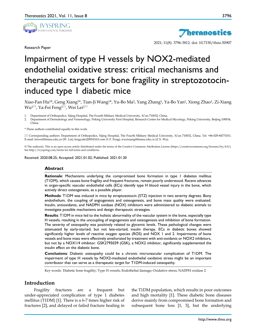 PDF) Impairment of type H vessels by NOX2-mediated endothelial 