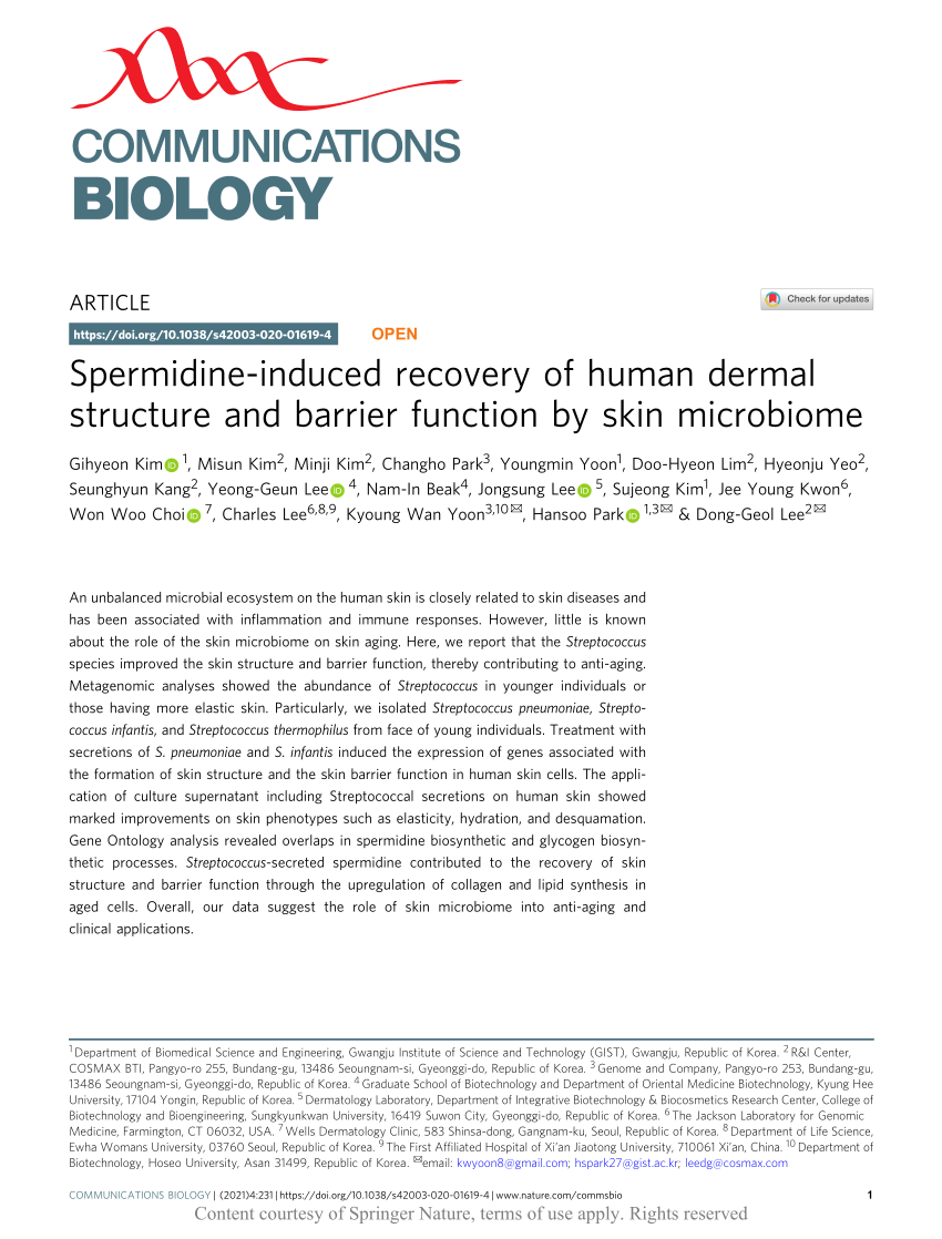 PDF Spermidine induced recovery of human dermal structure and  