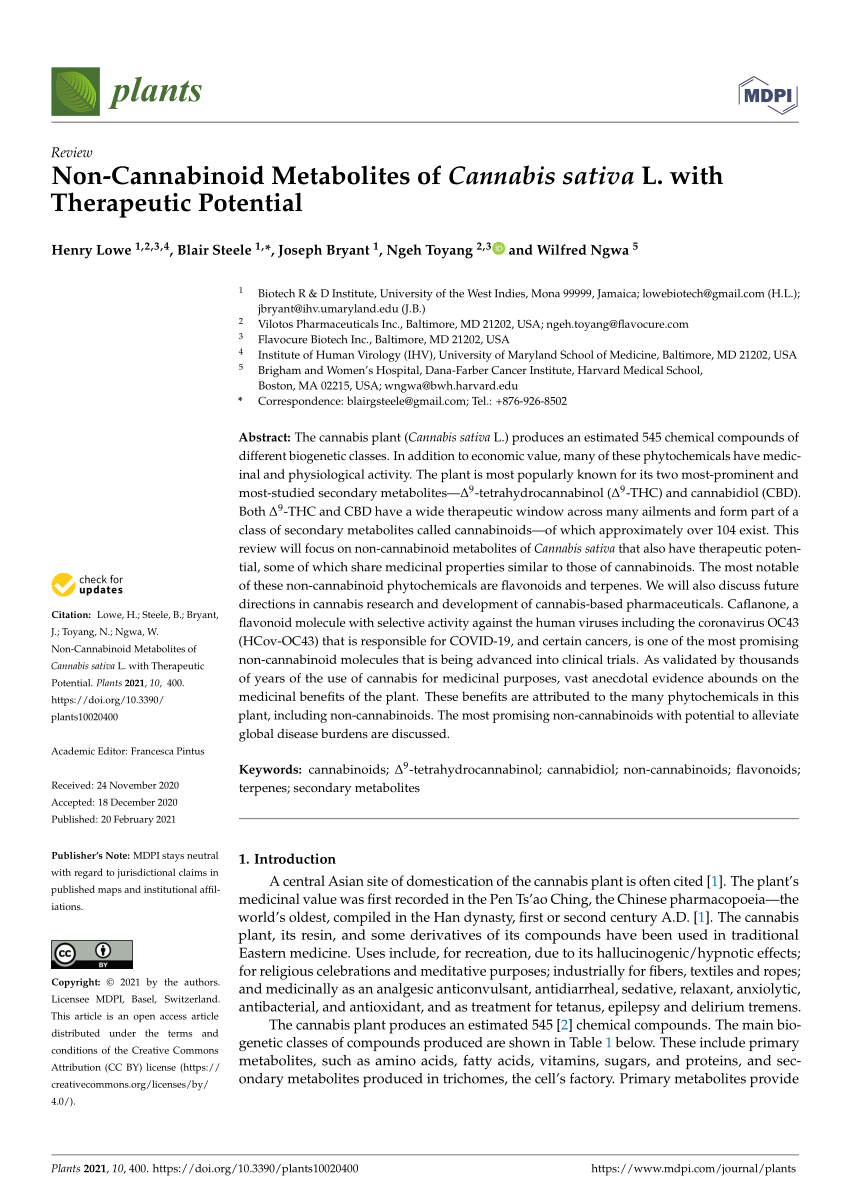 Flavonoids in Cannabis sativa: Biosynthesis, Bioactivities, and  Biotechnology