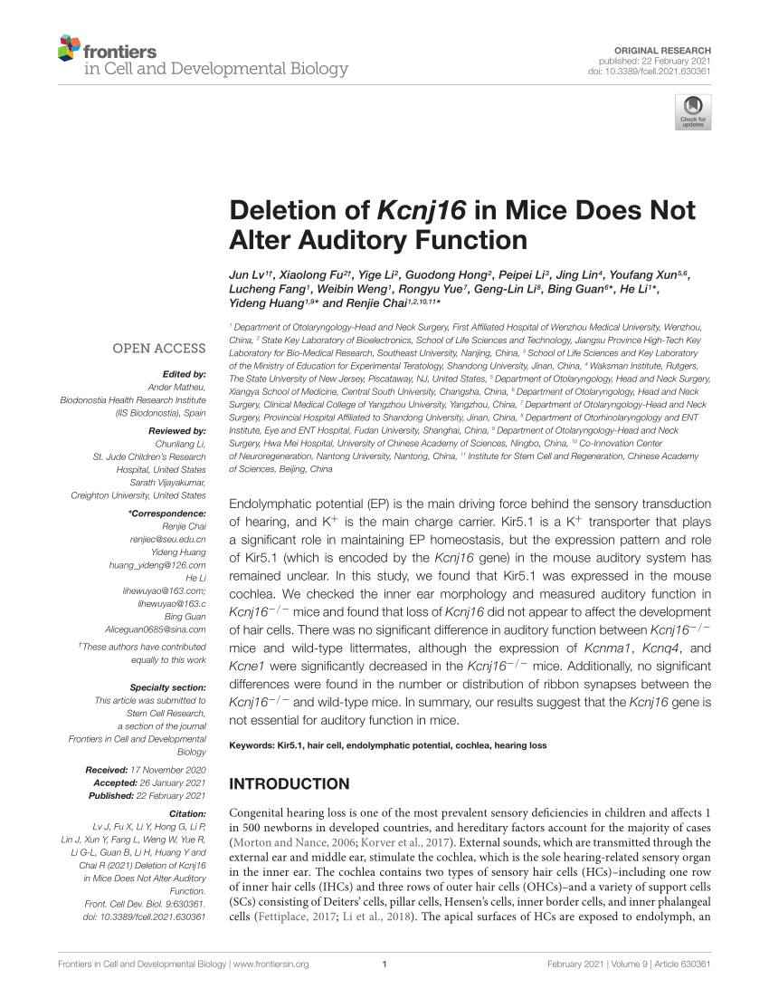 PDF) Deletion of Kcnj16 in Mice Does Not Alter Auditory Function