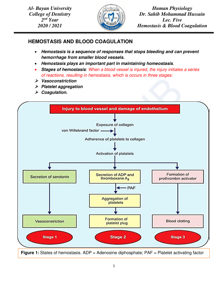 pdf-hemostasis-and-blood-coagulation