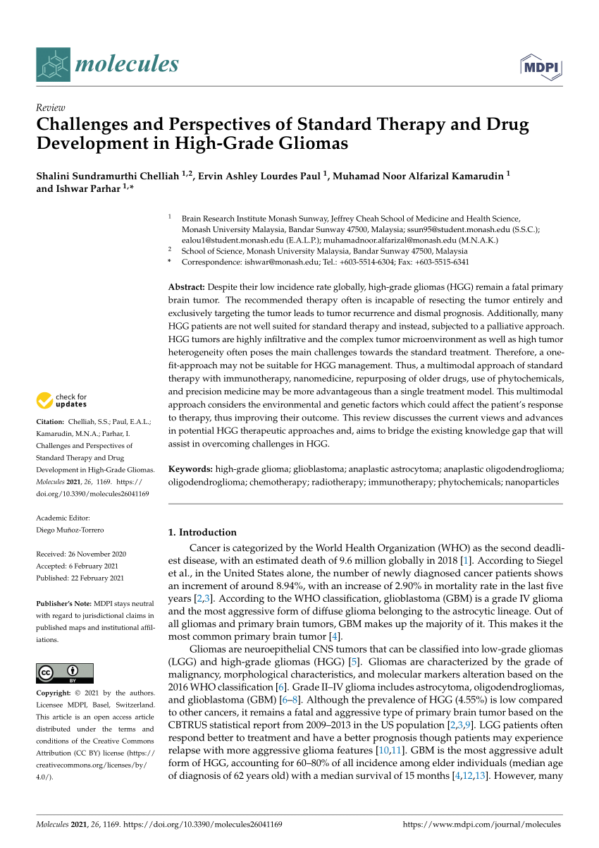 Pdf Challenges And Perspectives Of Standard Therapy And Drug Development In High Grade Gliomas