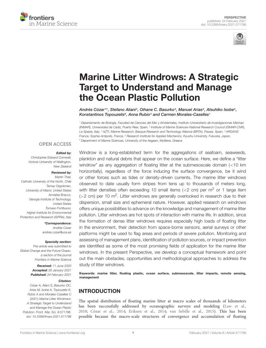 PDF) Marine Litter Windrows: A Strategic Target to Understand and ...