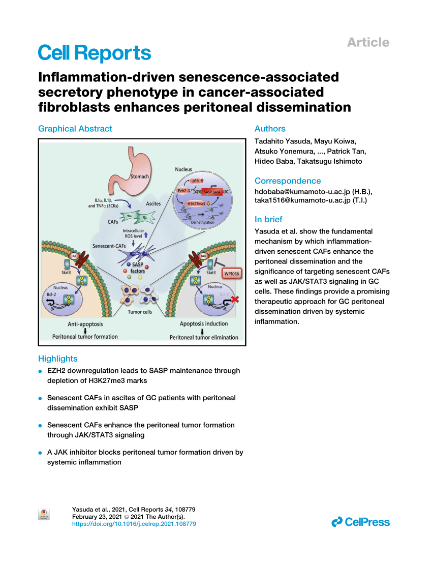 PDF Inflammation driven senescence associated secretory phenotype  