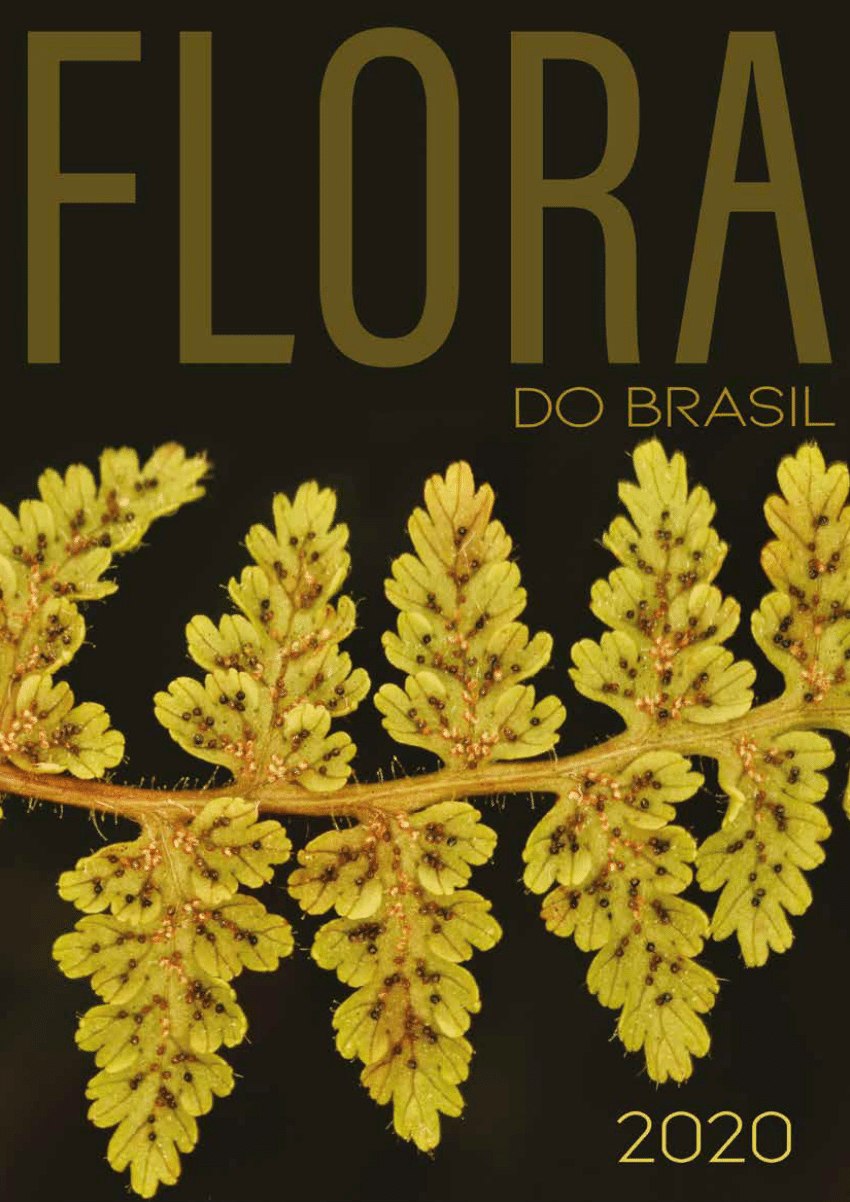 Brasil, Brazil, Breazail: utopias antropofágicas de Rosa Magalhães
