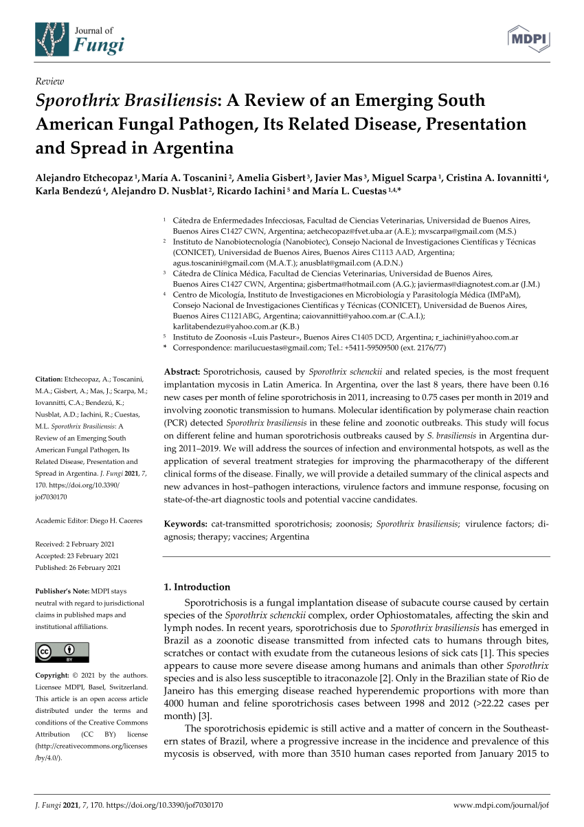 Pdf Sporothrix Brasiliensis A Review Of An Emerging South American Fungal Pathogen Its Related Disease Presentation And Spread In Argentina