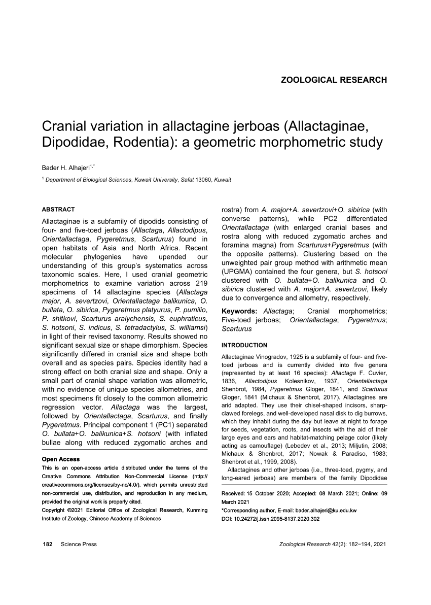 PDF) Cranial variation in allactagine jerboas (Allactaginae 