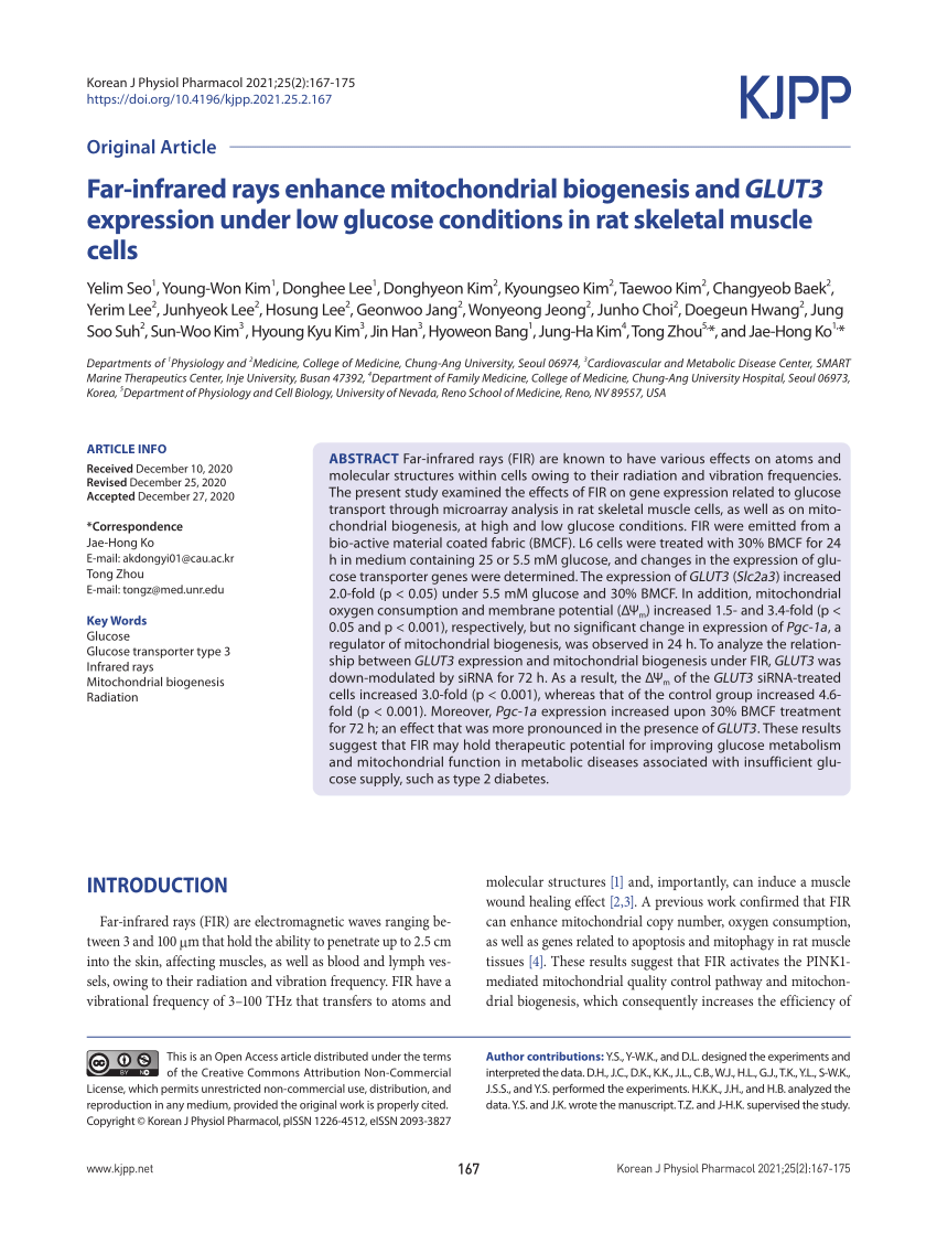 PDF) Far-infrared rays enhance mitochondrial biogenesis and GLUT3  expression under low glucose conditions in rat skeletal muscle cells