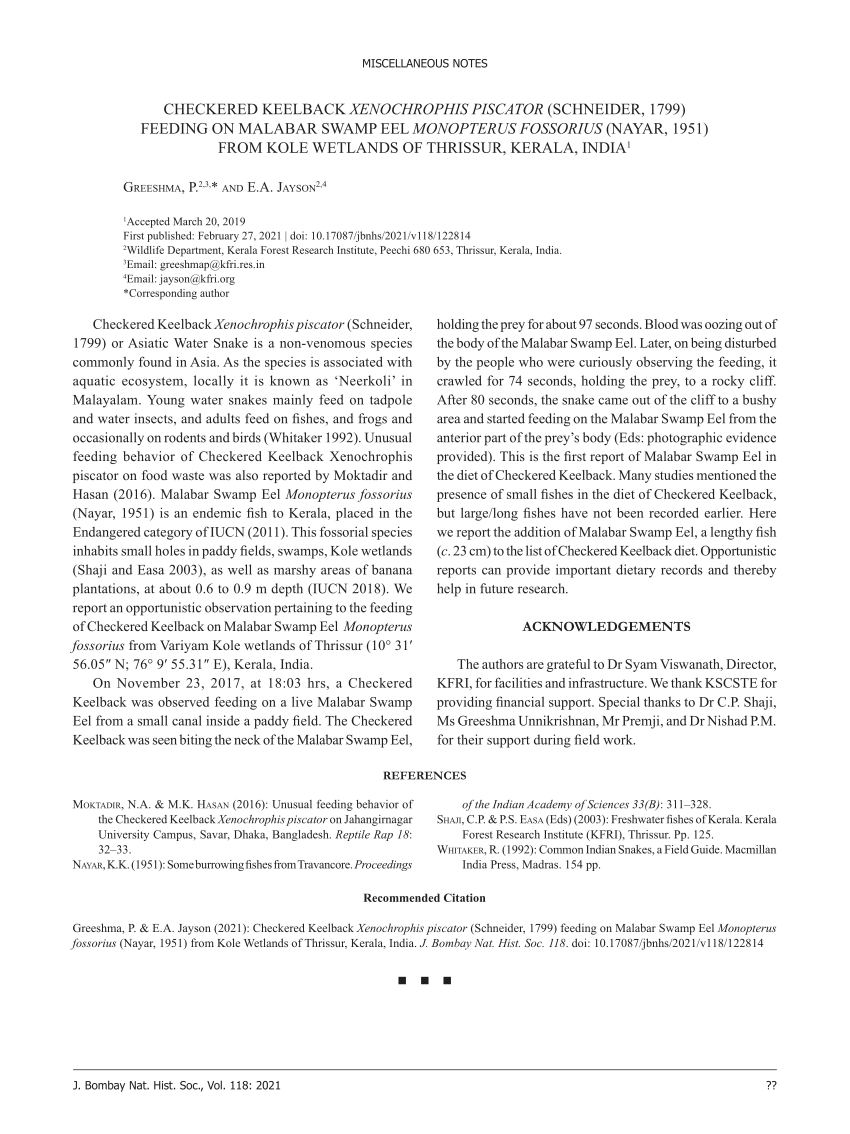 Pdf Checkered Keelback Xenochrophis Piscator Schneider 1799 Feeding On Malabar Swamp Eel Monopterus Fossorius Nayar 1951 From Kole Wetlands Of Thrissur Kerala India