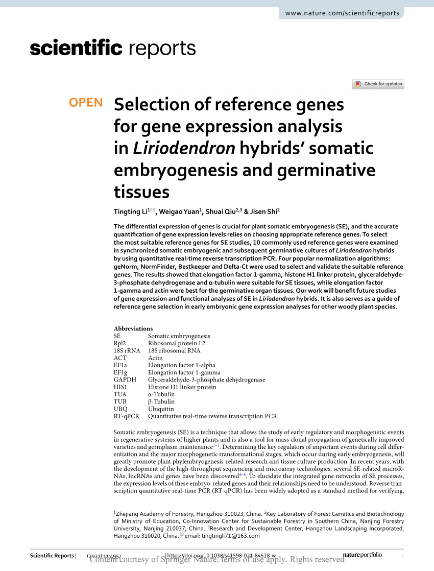 Selection of reference genes for gene expression analysis in Liriodendron  hybrids' somatic embryogenesis and germinative tissues