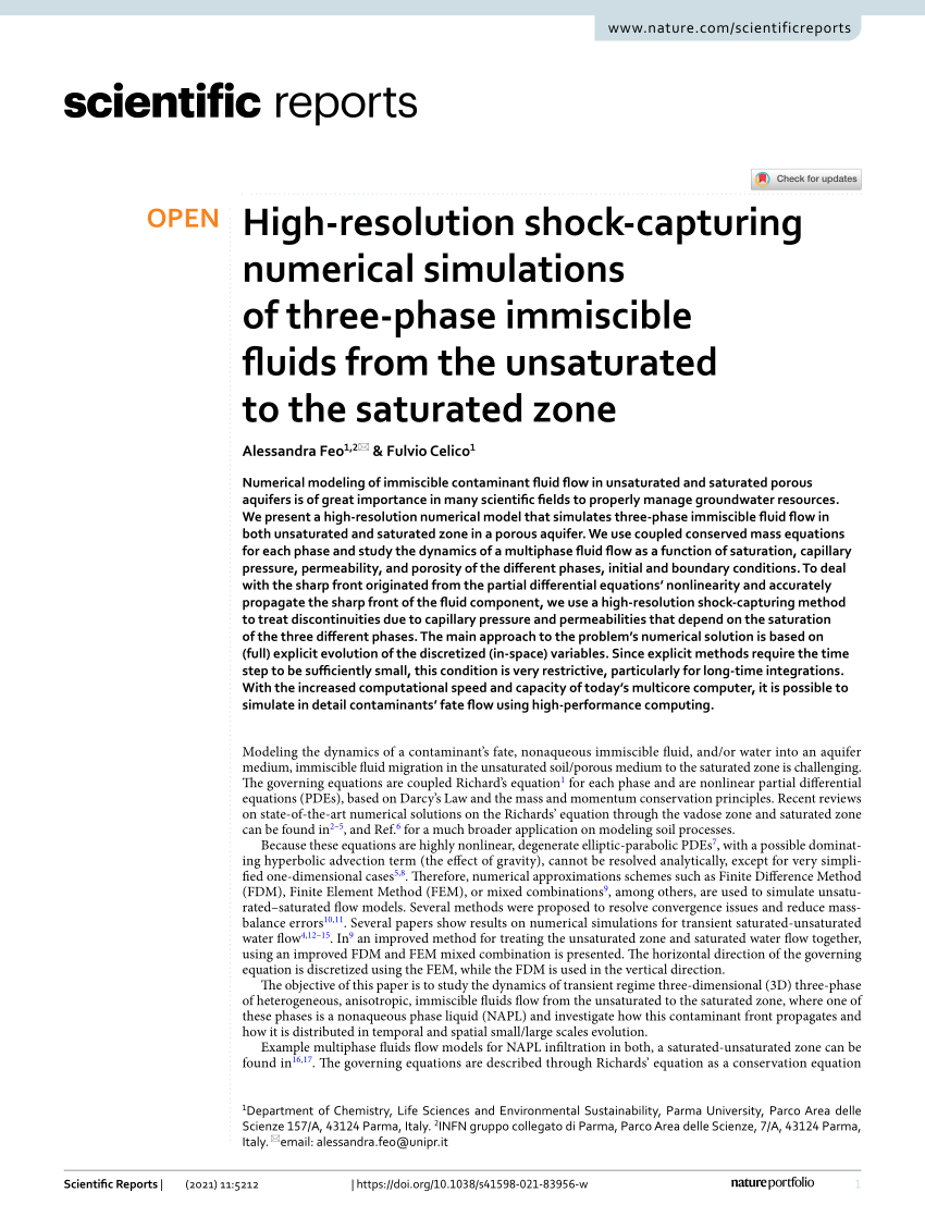 PDF) High-resolution shock-capturing numerical simulations of 