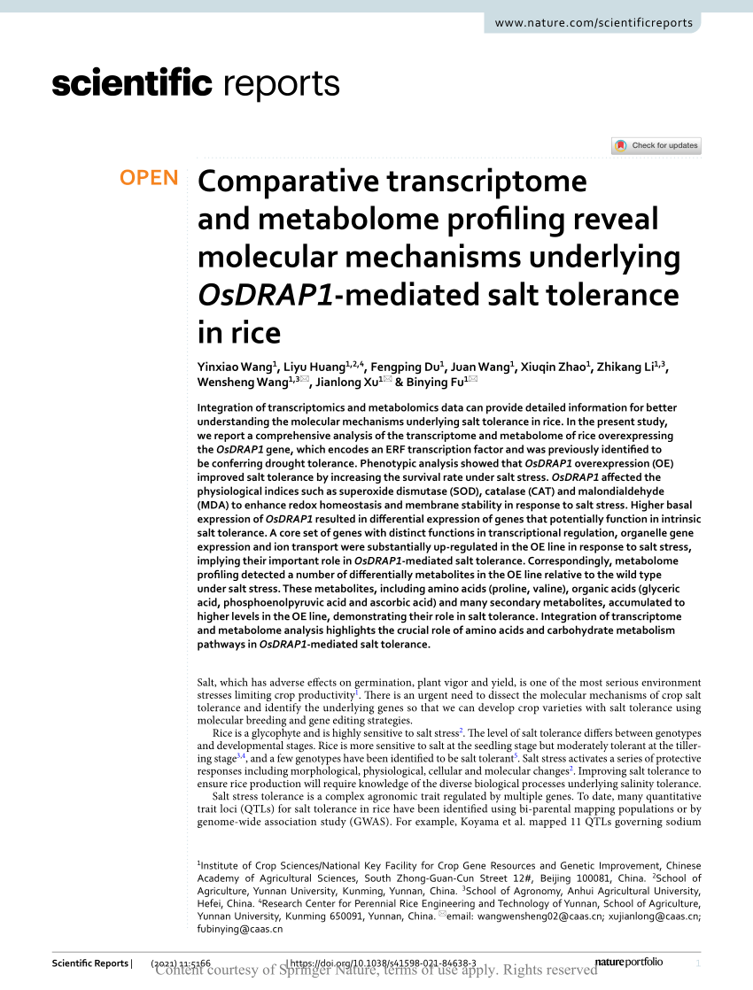 PDF) Comparative transcriptome and metabolome profiling reveal molecular  mechanisms underlying OsDRAP1-mediated salt tolerance in rice