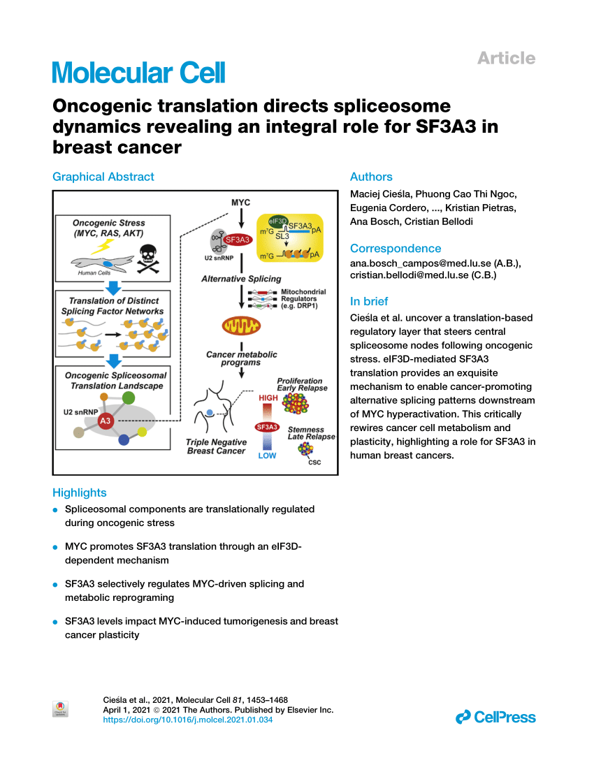 PDF) Oncogenic translation directs spliceosome dynamics revealing 