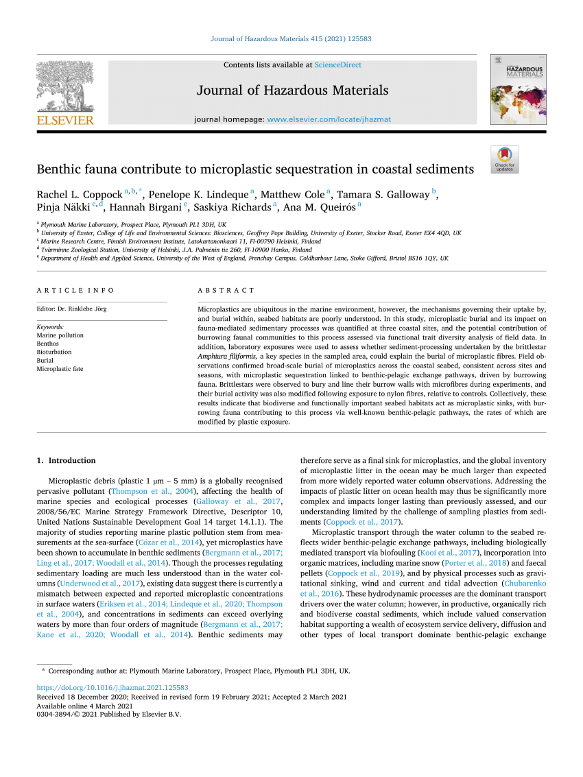 Frontiers  Sediment Bulk Density Effects on Benthic Macrofauna Burrowing  and Bioturbation Behavior