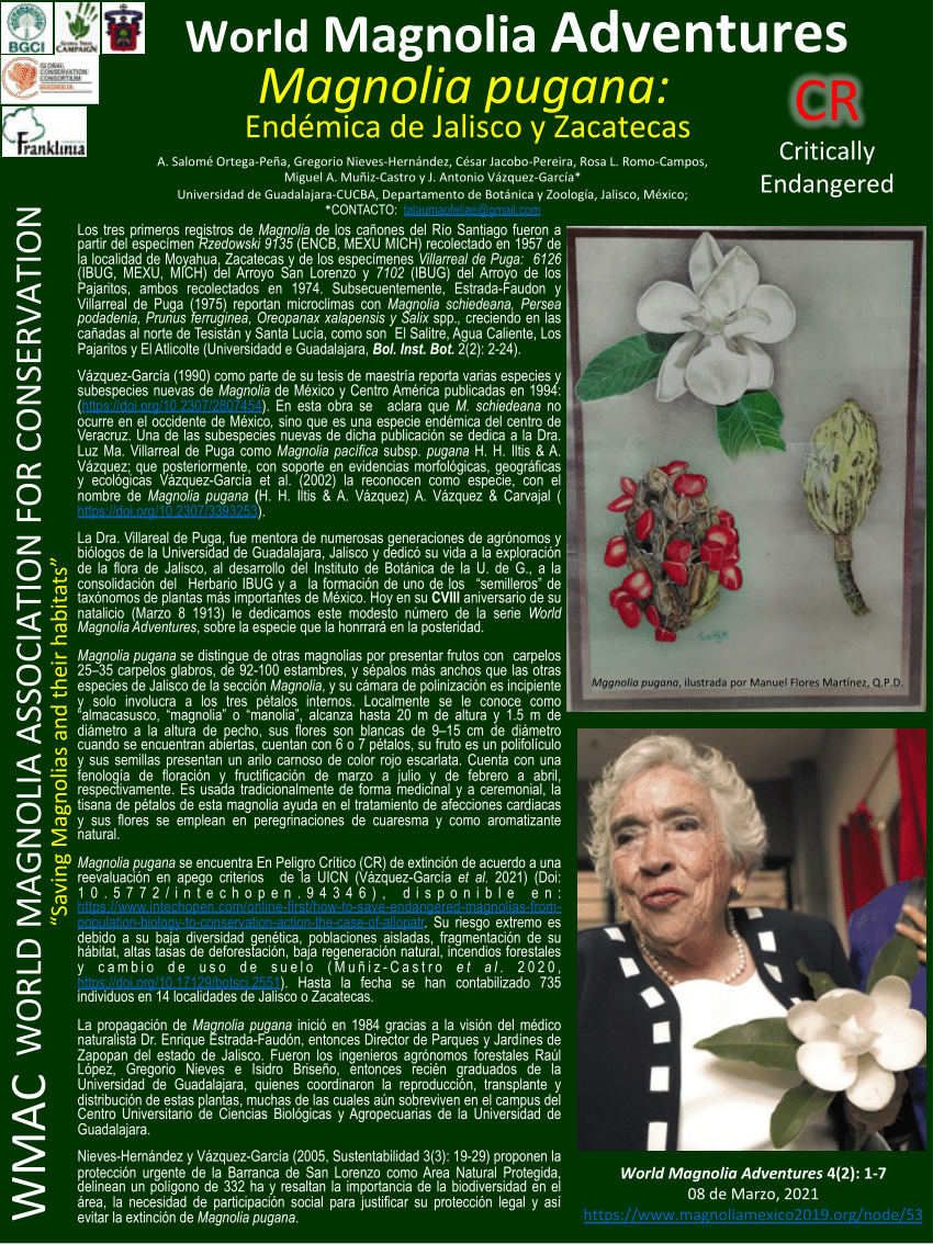 PDF) Magnolia pugana: Endémica de Jalisco y Zacatecas