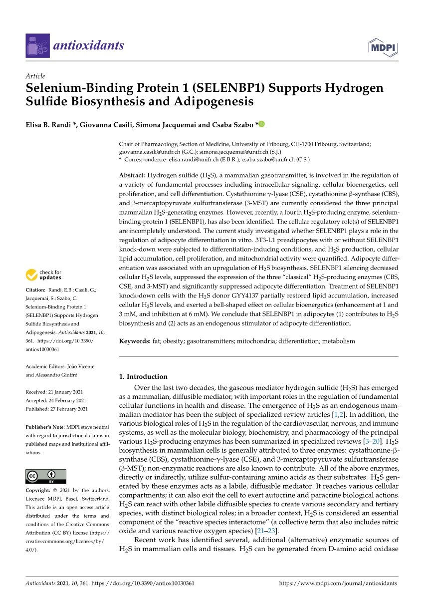 Pdf Selenium Binding Protein 1 Selenbp1 Supports Hydrogen Sulfide Biosynthesis And Adipogenesis
