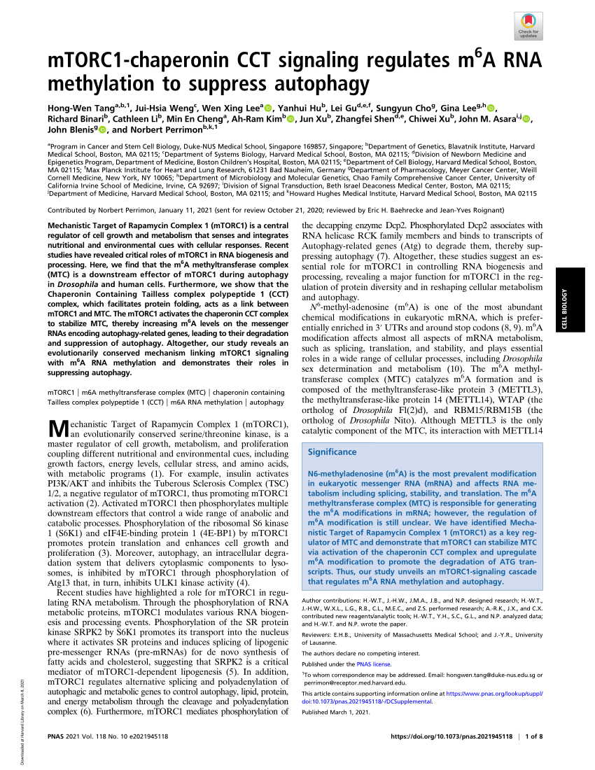 Pdf Mtorc1 Chaperonin Cct Signaling Regulates M6a Rna Methylation To Suppress Autophagy