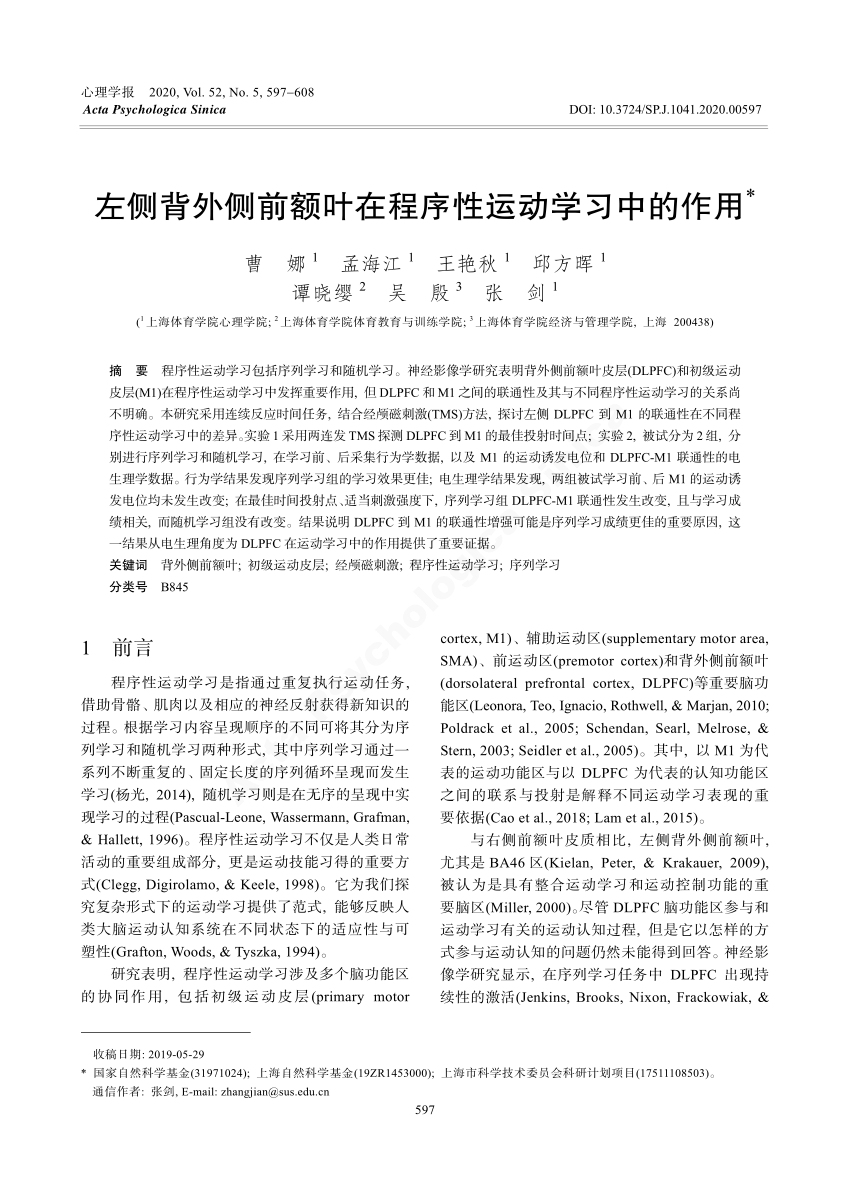 PDF) Functional role of the left dorsolateral prefrontal cortex in