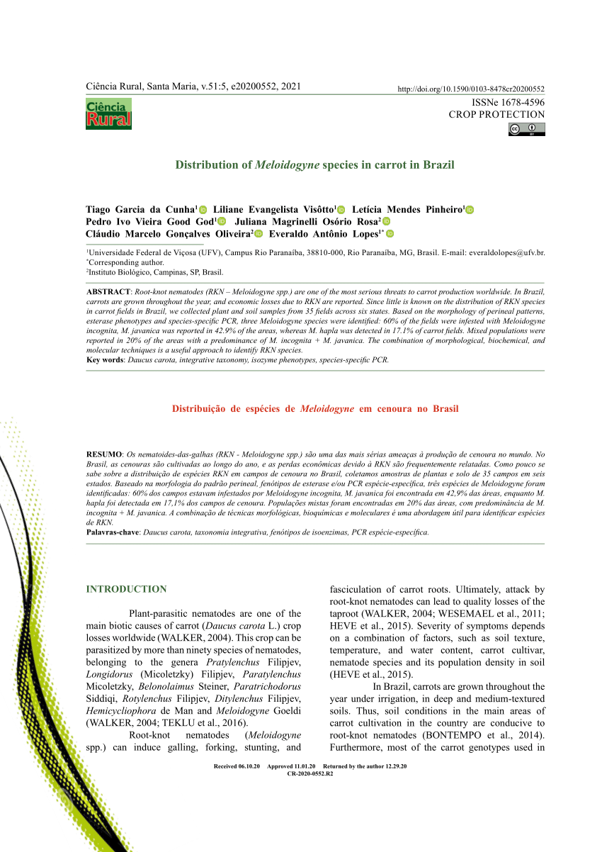 Pdf Distribution Of Meloidogyne Species In Carrot In Brazil