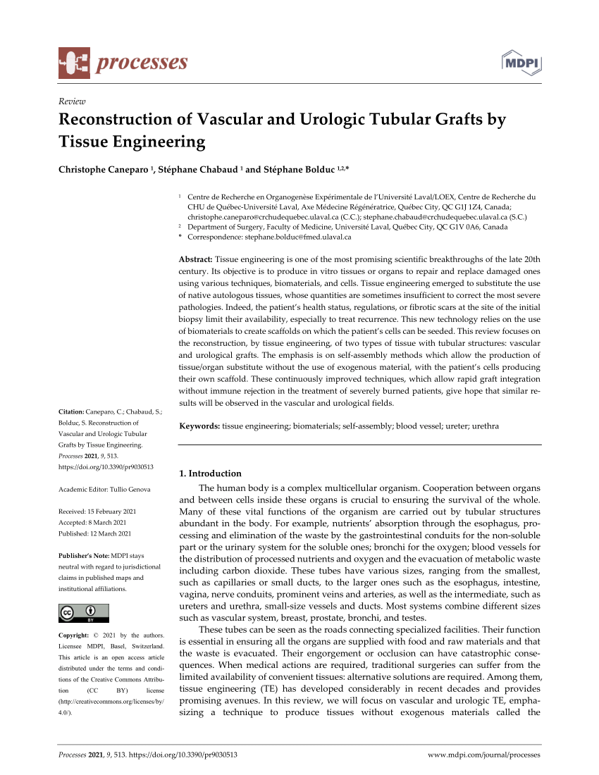 PDF) Reconstruction of Vascular and Urologic Tubular Grafts by Tissue  Engineering