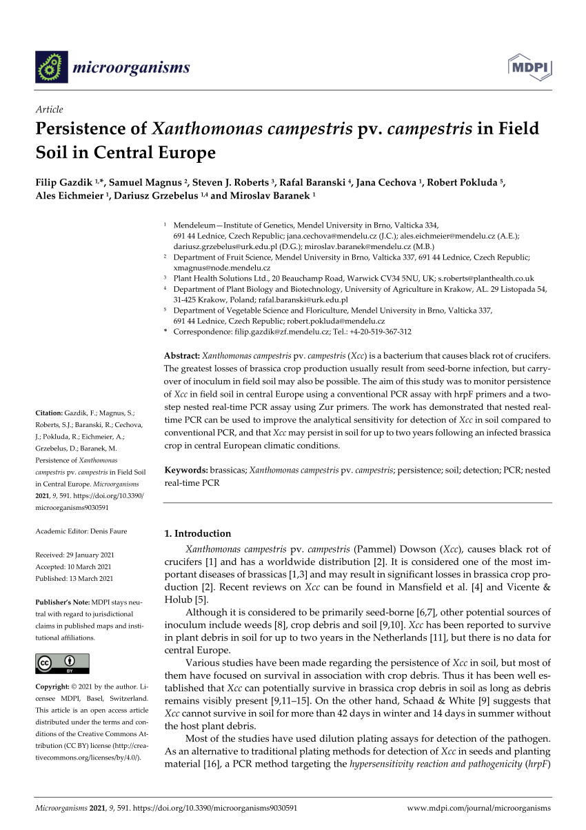 PDF) Persistence of Xanthomonas campestris pv. campestris in Field ...
