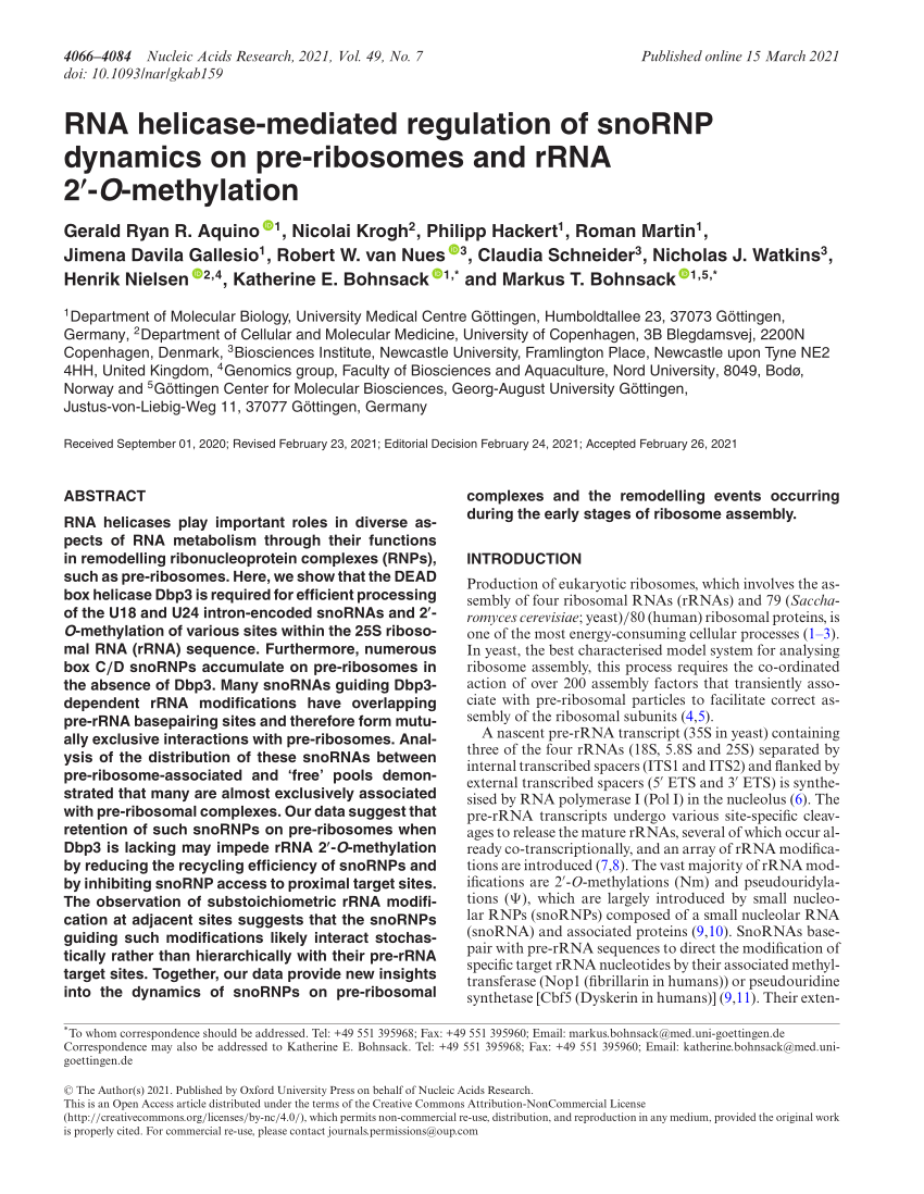 Officer fuse Description PDF) RNA helicase-mediated regulation of snoRNP dynamics on pre-ribosomes  and rRNA 2′- O -methylation