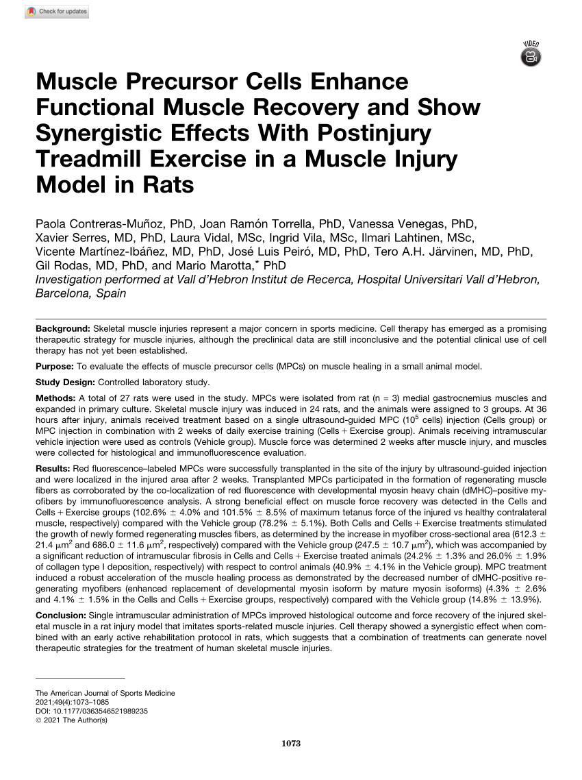 PDF) Muscle Precursor Cells Enhance Functional Muscle Recovery and Show  Synergistic Effects With Postinjury Treadmill Exercise in a Muscle Injury  Model in Rats