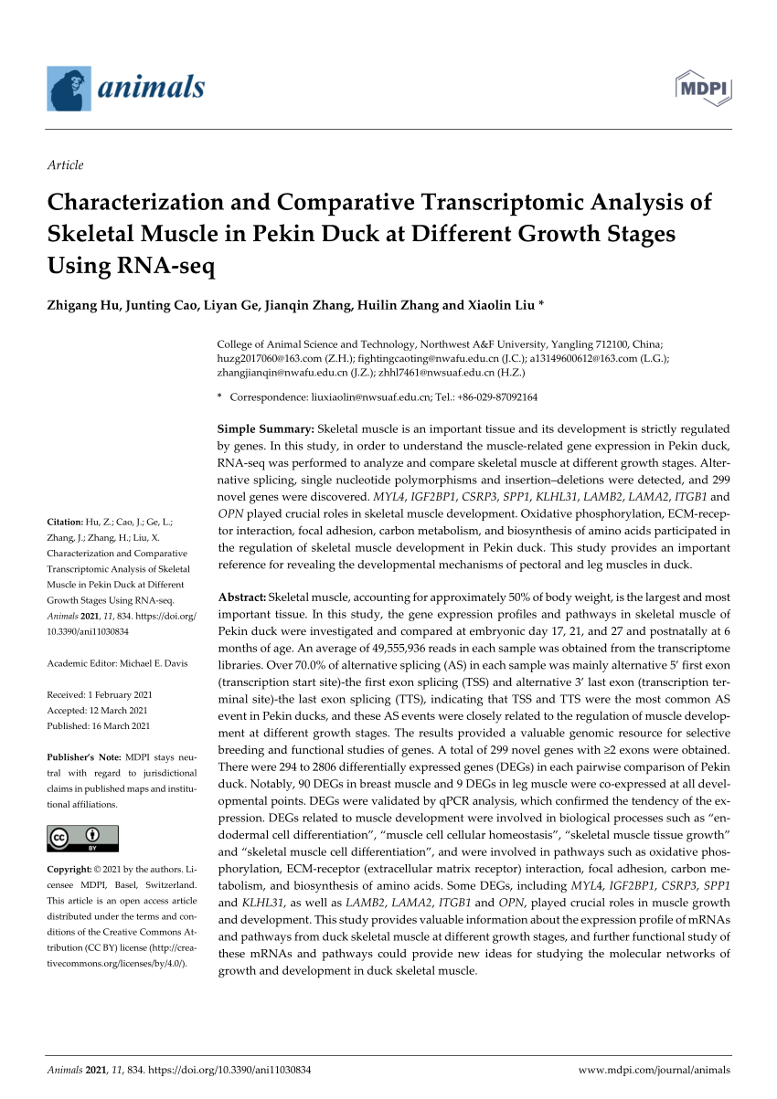 PDF) Characterization and Comparative Transcriptomic Analysis of 