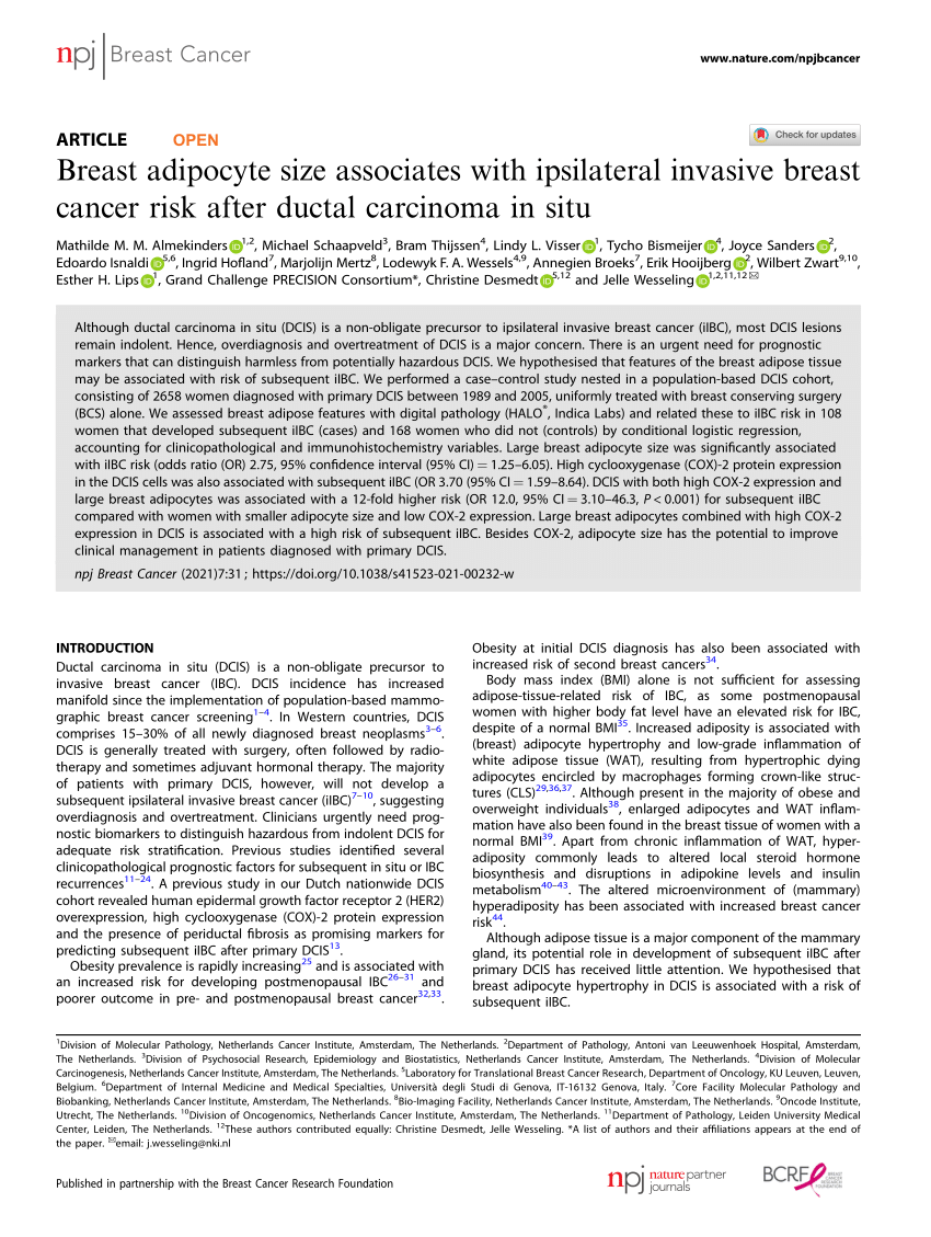 Inflammation of mammary adipose tissue occurs in overweight and obese  patients exhibiting early-stage breast cancer