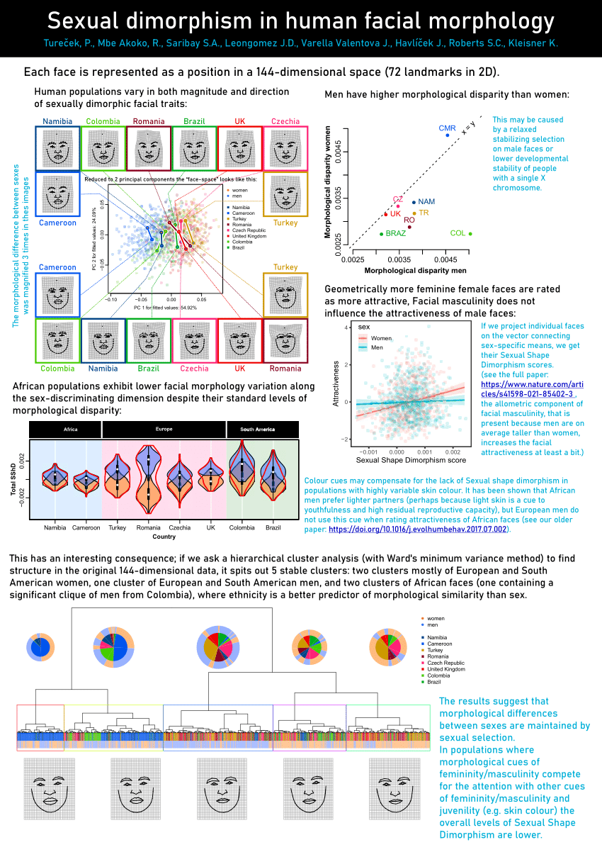 Pdf Sexual Dimorphism In Human Facial Morphology 