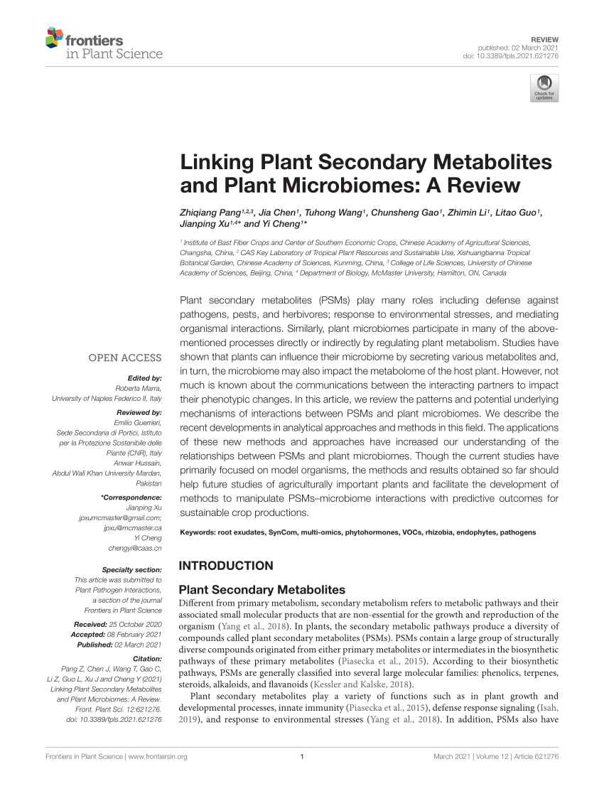 literature review on secondary metabolites