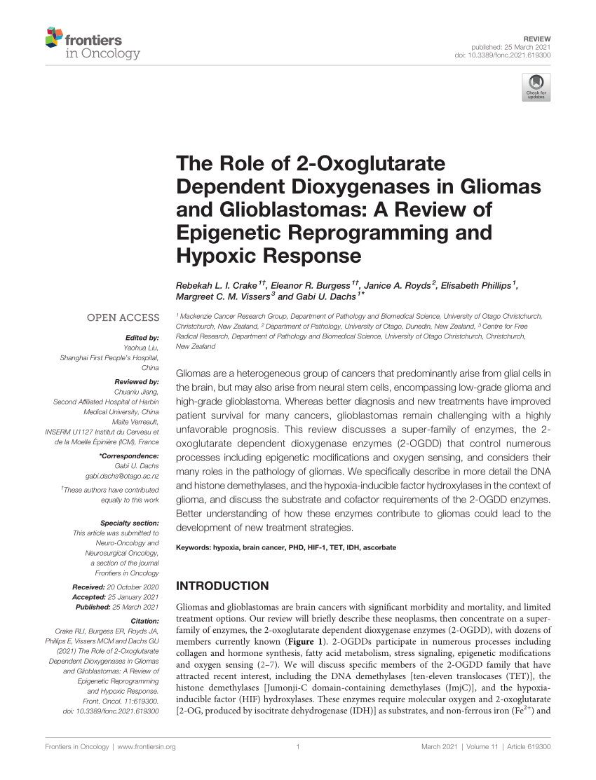 PDF) The Role of 2-Oxoglutarate Dependent Dioxygenases in Gliomas 