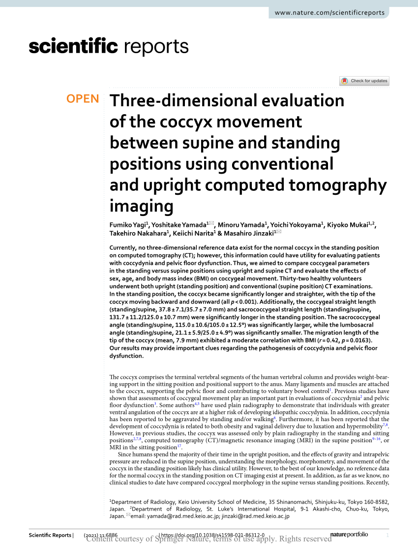 Pdf Three Dimensional Evaluation Of The Coccyx Movement Between Supine And Standing Positions 4552