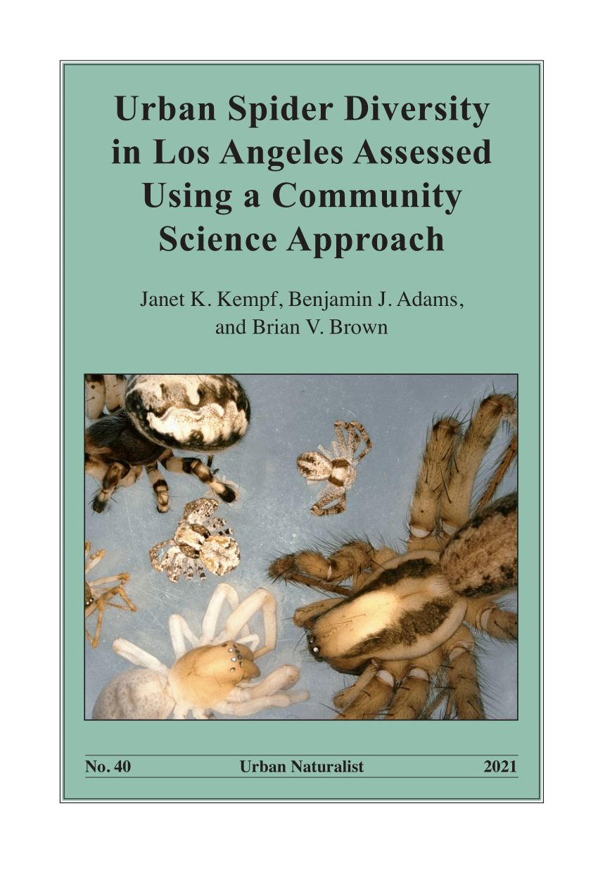 research paper on spider diversity