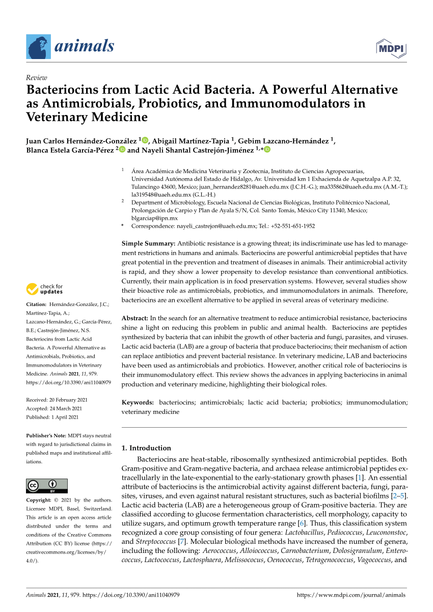 Pdf Bacteriocins From Lactic Acid Bacteria A Powerful Alternative As Antimicrobials Probiotics And Immunomodulators In Veterinary Medicine