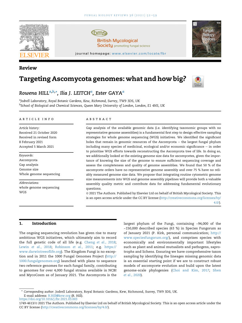 Pdf Targeting Ascomycota Genomes What And How Big