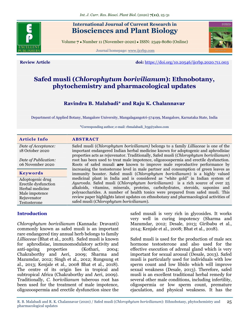 PDF Safed musli Chlorophytum borivilianum Ethnobotany