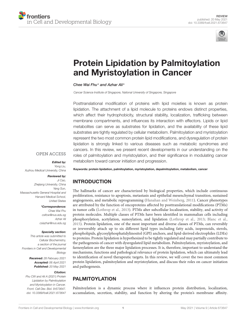 PDF) Protein Lipidation By Palmitoylation And Myristoylation In Cancer