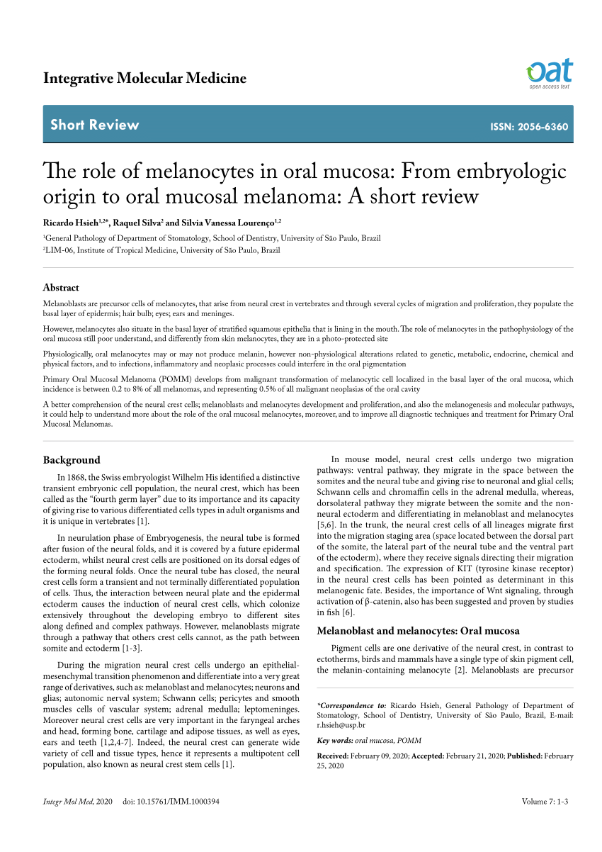 Pdf The Role Of Melanocytes In Oral Mucosa From Embryologic Origin To Oral Mucosal Melanoma