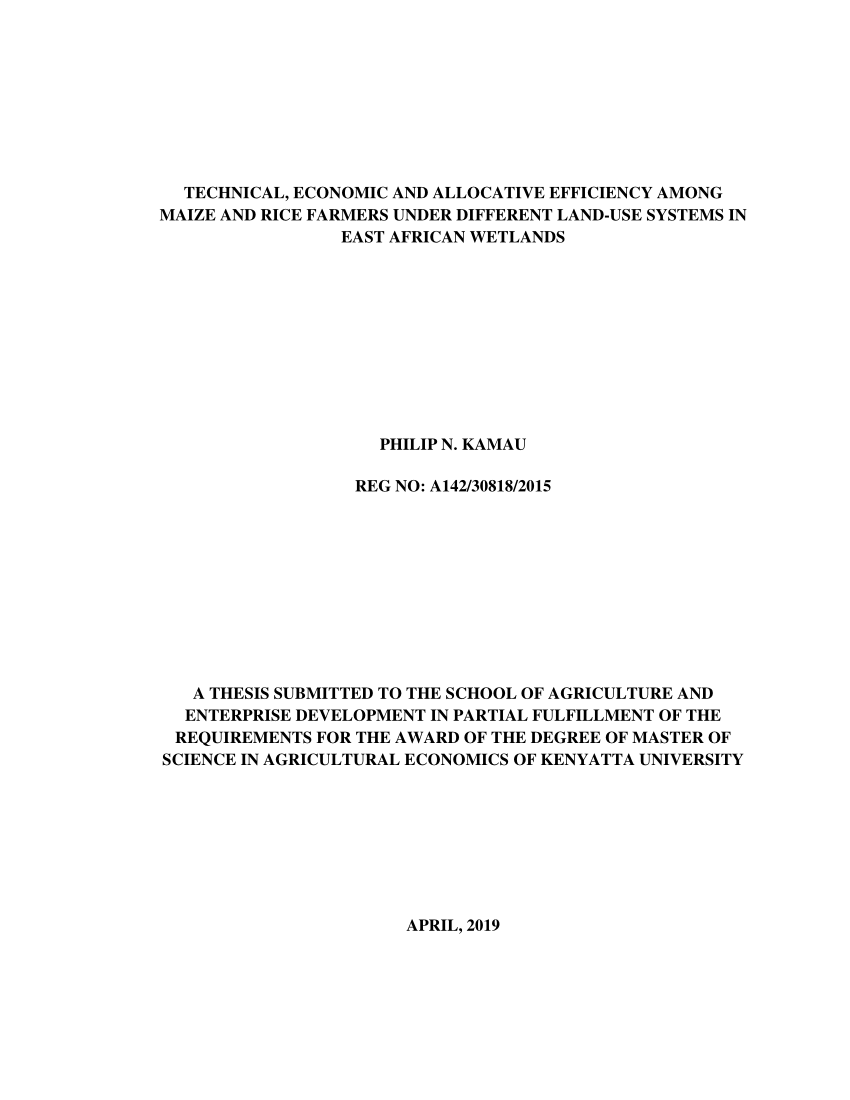 msc thesis about