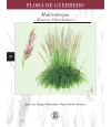 Preview image for Flora de Guerrero 90. Muhlenbergia (Poaceae, Chloridoideae)